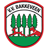 VV Bakkeveen