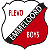 VV Flevo Boys