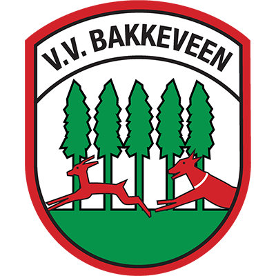 VV Bakkeveen